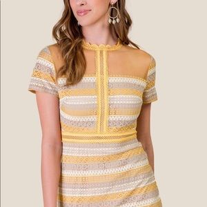 Francesca’s Lace Dress